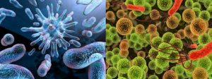 Sistemas anti-bacterias y aniti-hongos