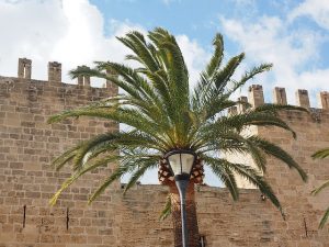 Colchones baratos en Palma de Mallorca